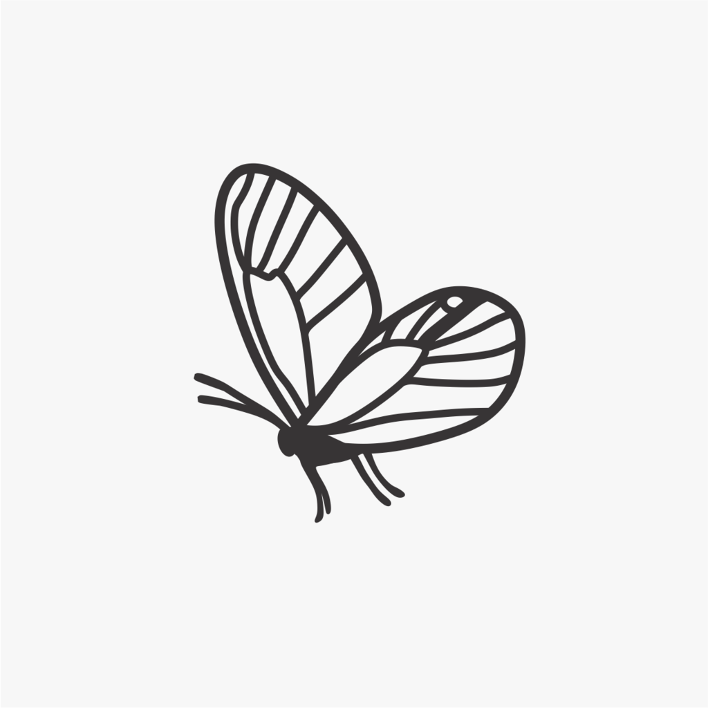 Carimbo de mariposa inseto para cerâmica em MDF – Estúdio AME